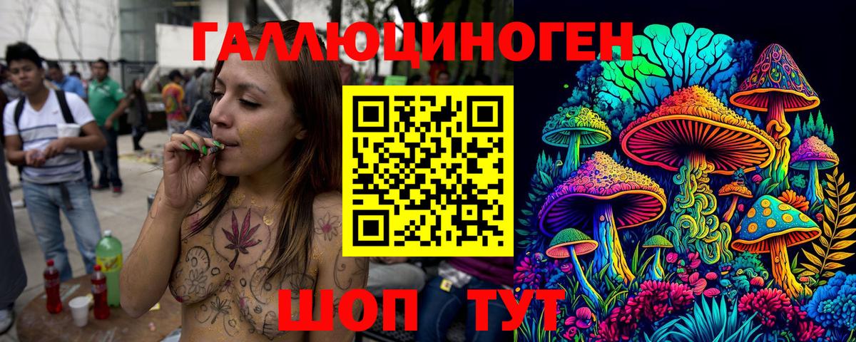 Галлюциногенные грибы MAGIC MUSHROOMS  Вход с VPN  Ефремов 
